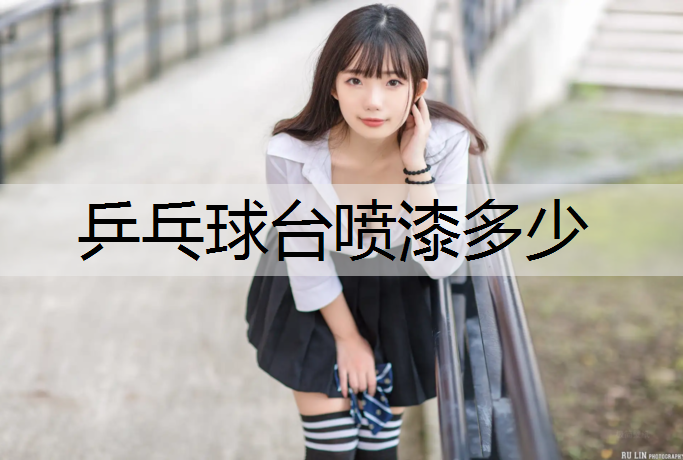 乒乓球台喷漆多少