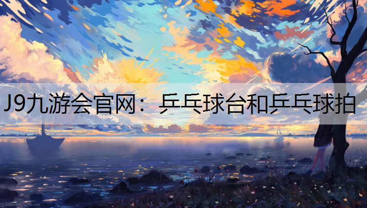 乒乓球台和乒乓球拍