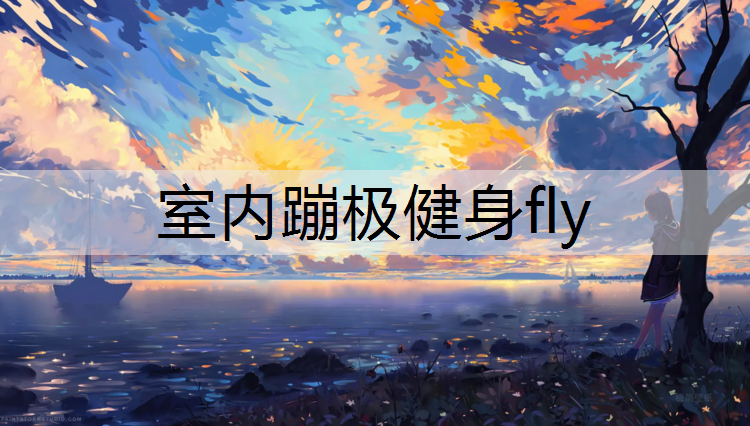 室内蹦极健身fly