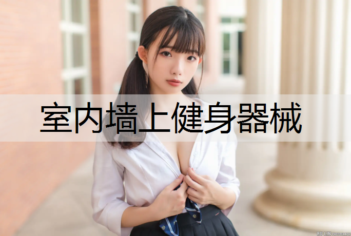 室内墙上健身器械