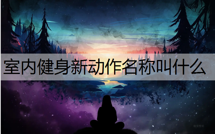 室内健身新动作名称叫什么
