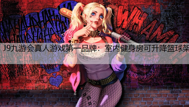 室内健身房可升降篮球架