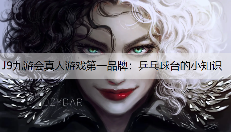 乒乓球台的小知识