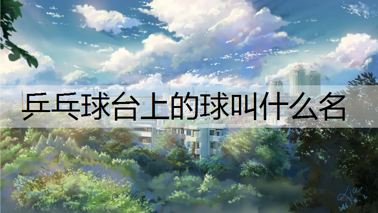 乒乓球台上的球叫什么名